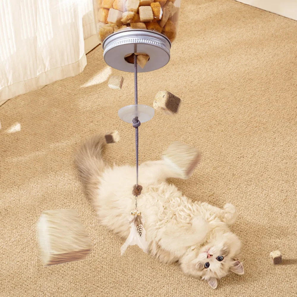 Interactive Cat Feeder Toy 2