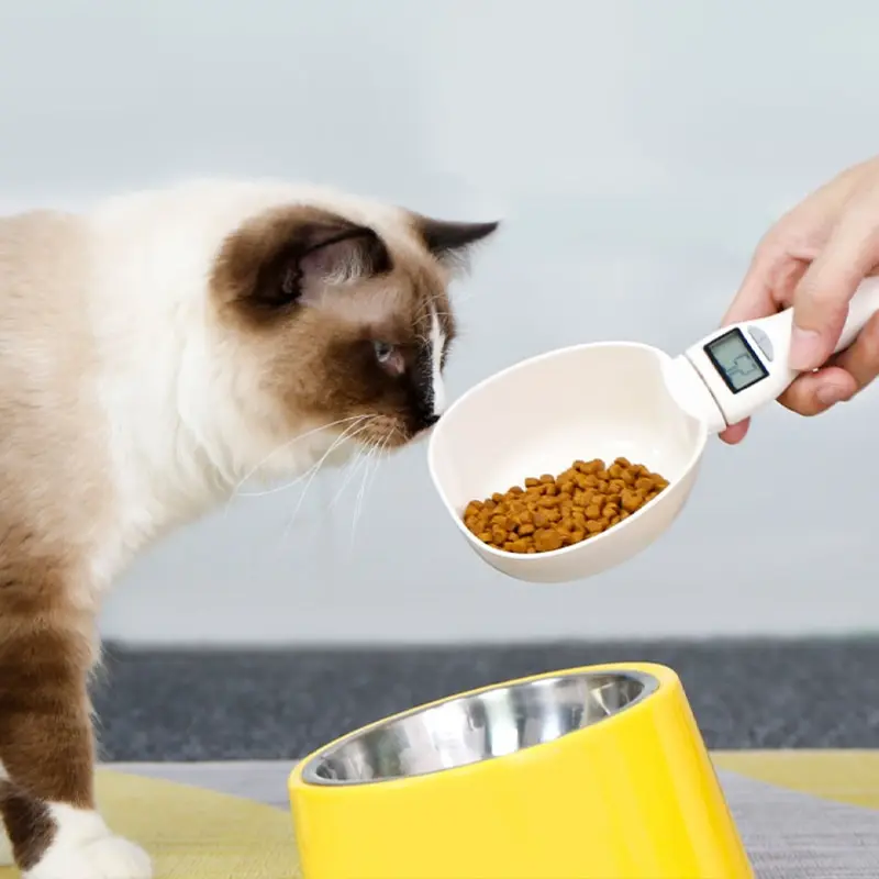 https://ae01.alicdn.com/kf/S565c6ec42b564b04a61aa9a5bfa668fdZ/Pet-Food-Scale-LCD-Electronic-Precision-Weighing-Tool-Dog-Cat-Feeding-Food-Measuring-Spoon-Digital-Display.jpg