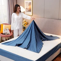 Zipper Detachable Mattress Protector, Solid Color Brushed Six-sided Full-enclosed Dust Cover, Tatami Bed Cover 160x200/140x200CM 3