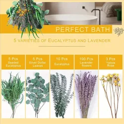 Boho Chic Preserved Floral Bouquet (D)