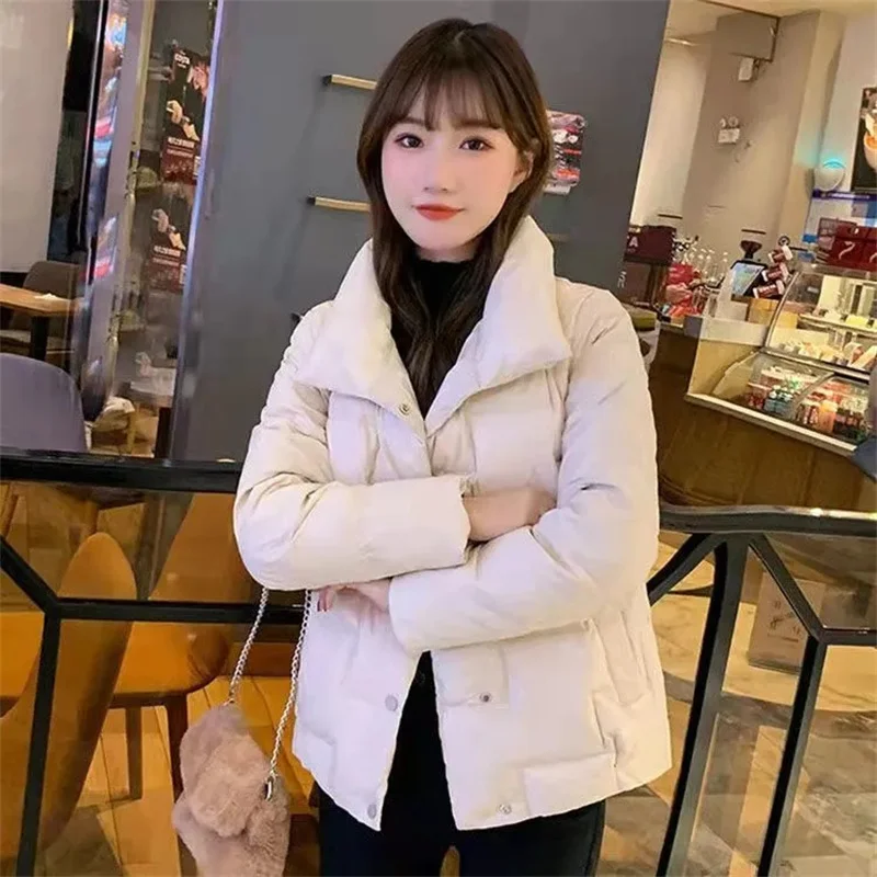 Fashion Stand-up Collar Down Padded Jacket Female 2022 New Loose Padded Jacket Women's Short Women's Small Padded Jacket Commute