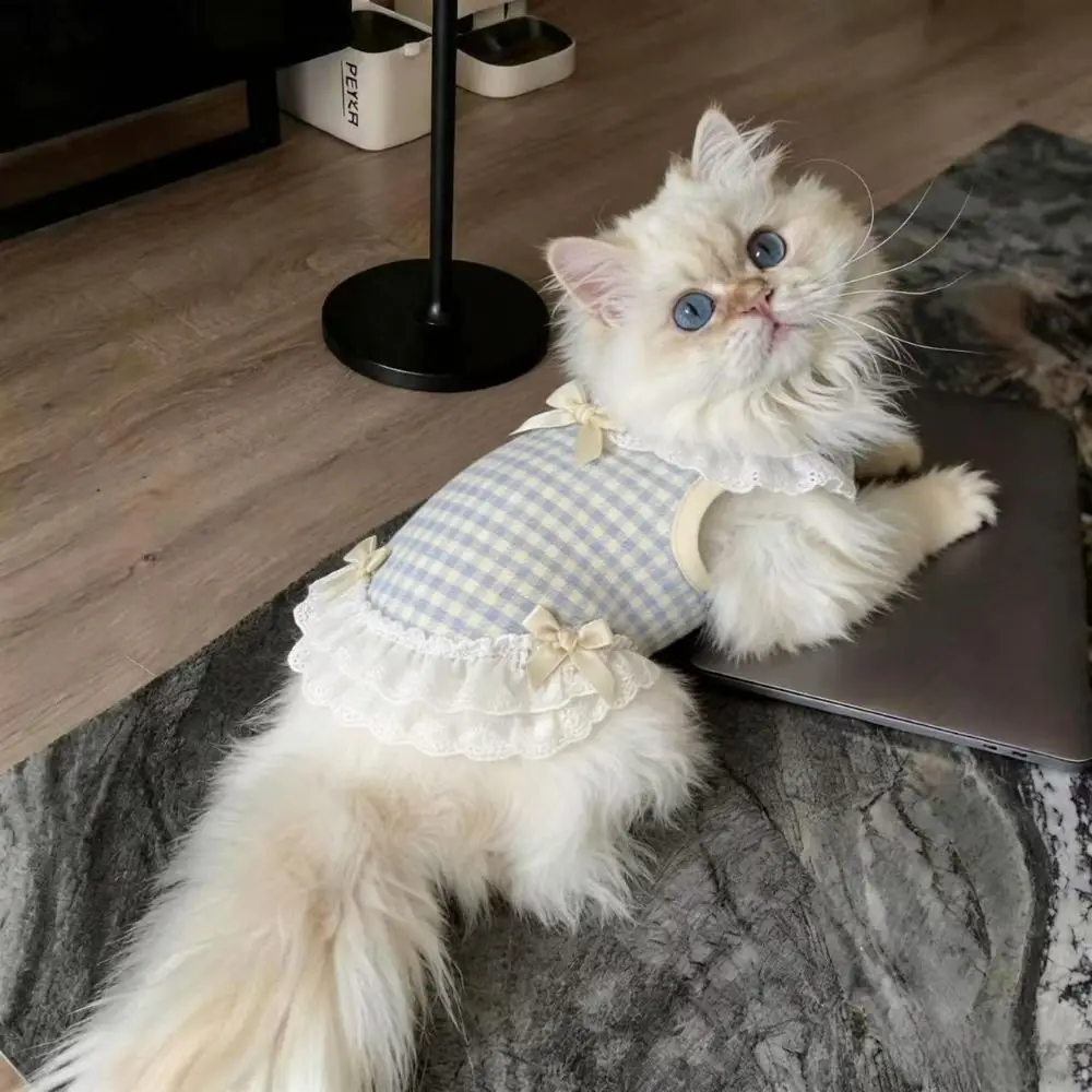 귀여운 리본 레이스 디자인 애완견 및 고양이 체크무늬 옷 통기성 좋은 편안한 고양이 조끼 가벼운 소형견 조끼
