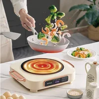 2200W Electric Ceramic Stove Home Timer Tea Making Machine Mini Electric Tea Stove Multi-function Boiling Water Induction Cooker 1