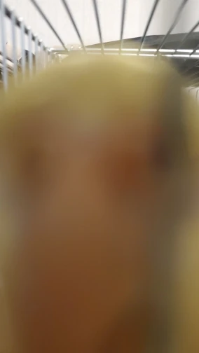 360 Clip Mobile Phone Holder Stand Portable Flexible Lazy Bed Desktop Bracket Desk Mount Stand Base For iPhone Samsung Xiaomi photo review