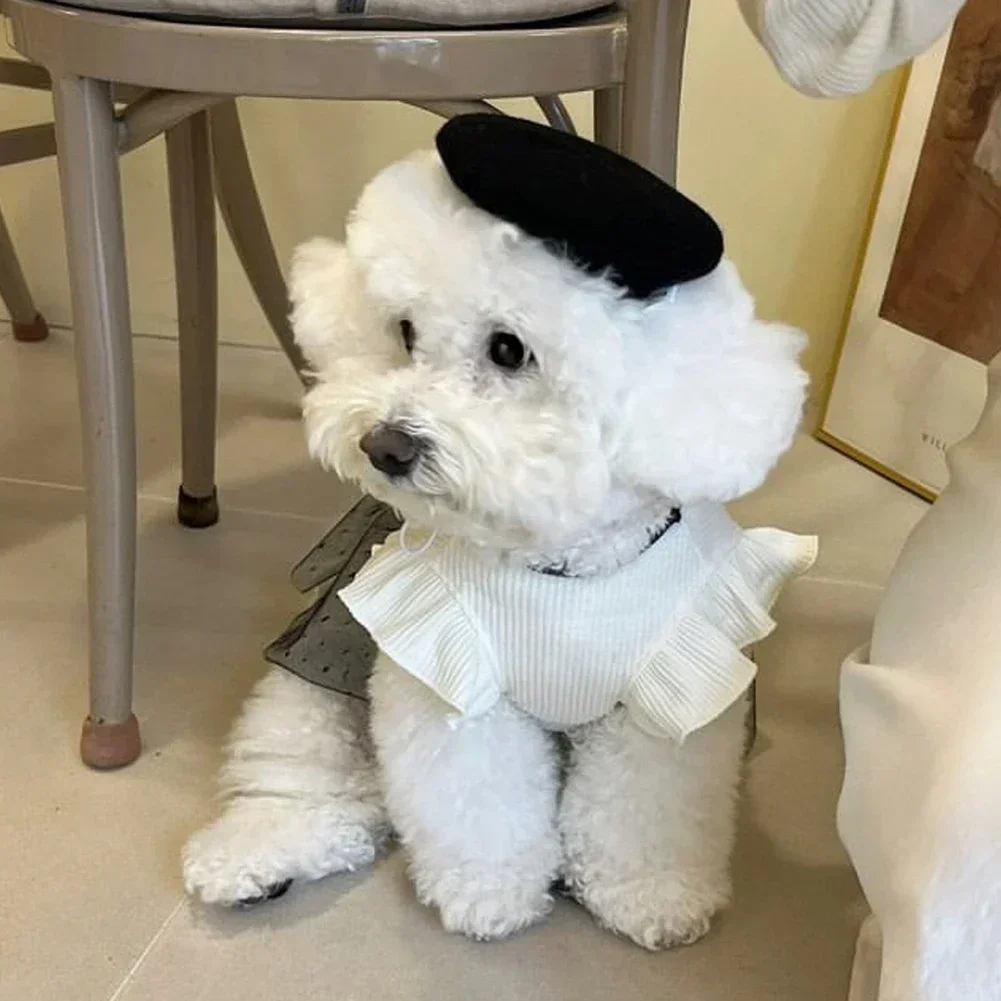 1P Dog Costume Dog Princess Dress Summer Clothes for Small Dogs Pet T-Shirt Black Lace Retro Puppy Skirt Chihuahua Bichon