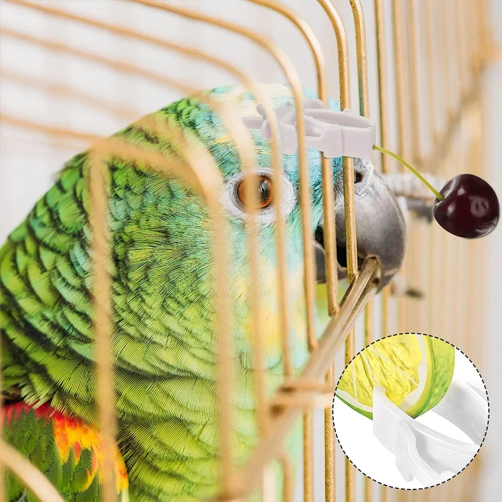 Birds Food Holder Pet Parrot Feeding Fruit Vegtable Clip Cuttlefish Bone Feeder Device Pin Clamp 12pcs Bird Cage Accessories