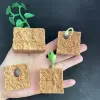 Children Simulation Biology Model Toy Animal Plant Life Growth Cycle Montessori Children Toys Set Teaching Aids Educational Toys 6