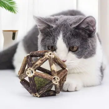Catnip Ball Cat Interactive Toy For Kitten Matatabi Polygonum Cleaning Cats Teeth Healthy Catnip Wooden Balls Pet supplies 1