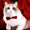 Bow Collar Solid Color Bowknot Puppy Chihuahua Adjustable Cats Accessories Safety Bell Tie Bow Buckle Pets with Collar New 4