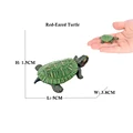 Red-Eared Turtle