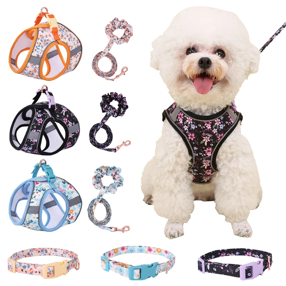 Small Dog Harness Leash Set Cute Traction Bracelet Medium Cat Collar Suit Soft Puppy Vest Harness Adjustable Pet Accessories Small Dog Harness Leash Set Cute Traction Bracelet Medium Cat Collar Suit Soft Puppy Vest Harness Adjustable Pet Accessories