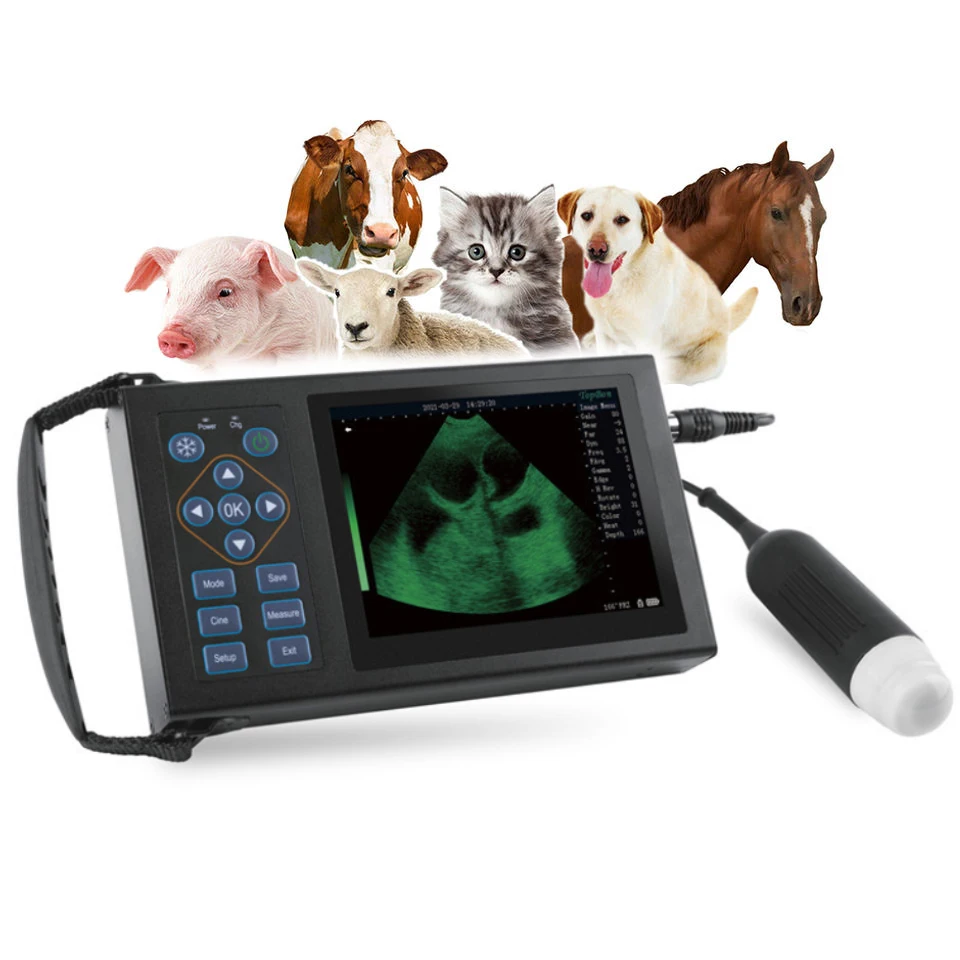 

RS 5.6 Inch Handheld Veterinary Ultrasound Machine Color Screen Probe Preheating Animal Pregnancy Vet Test