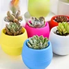 Colorful Rainbow Plastic Stone Pill Flowerpot Home Office Garden Balcony Succulents Plants Desktop Pots Creative Small Pot 1