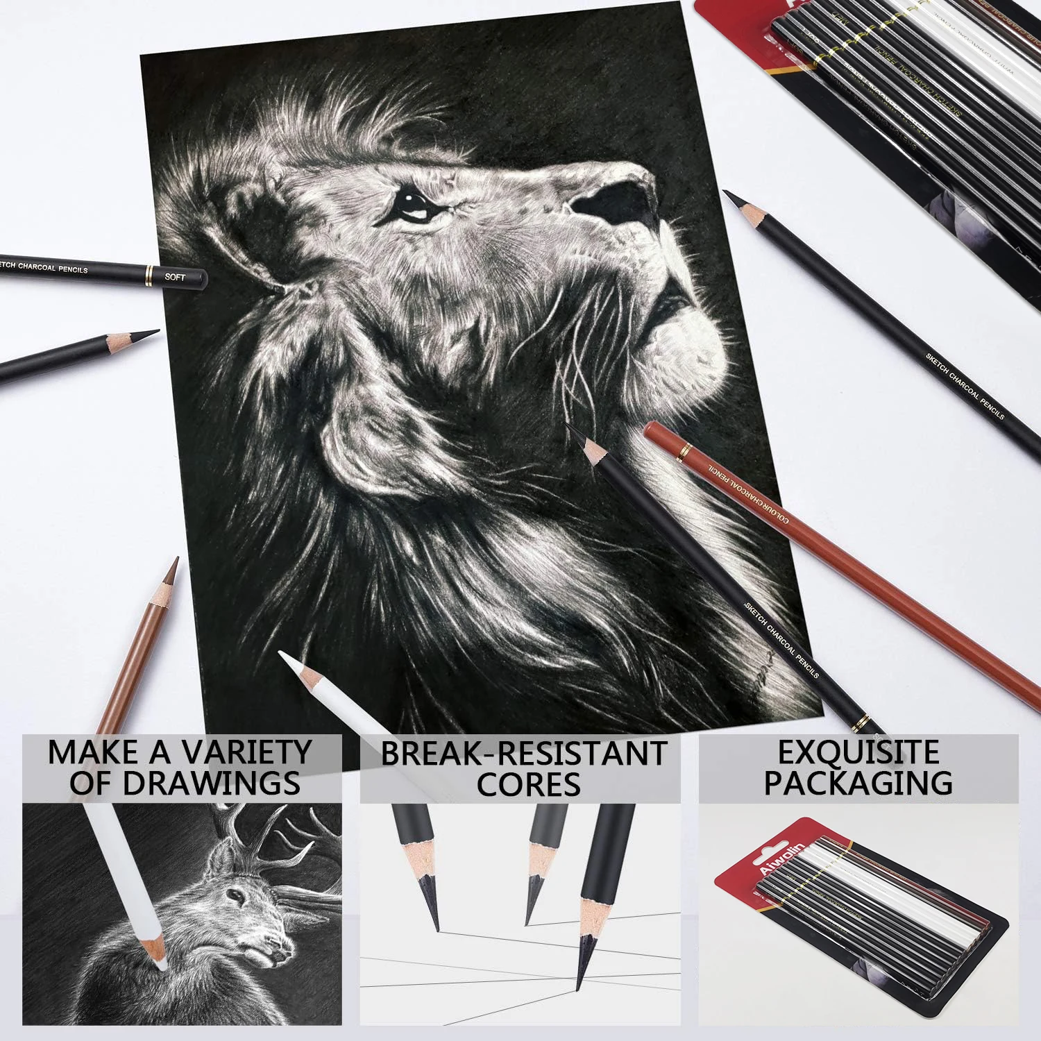 Professional Colored Charcoal Pencils Drawing Set,12 Pieces Pastel Chalk Pencils for Sketching, Shading, Blending, Portrait. 4