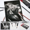 Professional Colored Charcoal Pencils Drawing Set,12 Pieces Pastel Chalk Pencils for Sketching, Shading, Blending, Portrait. 4