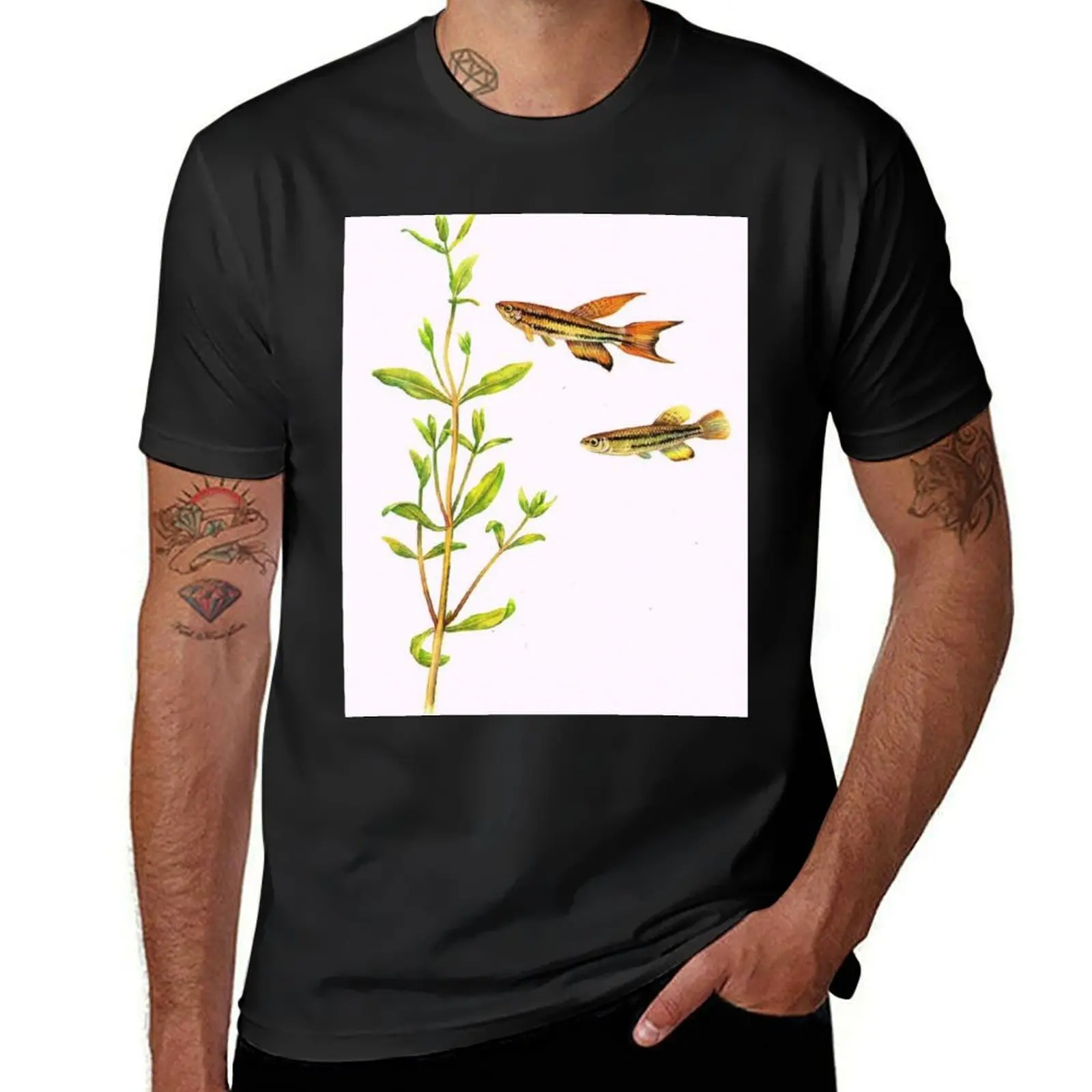 

Banded killifish (Aphysemion bivittatum) T-Shirt aesthetic clothes Blouse men clothing