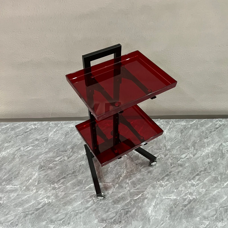 

Work Barber Tea Salon Trolley Cosmetic Hair Spaesthetician Salon Trolley Tattoo Carrello Portaoggetti Salon Furniture RR50ST