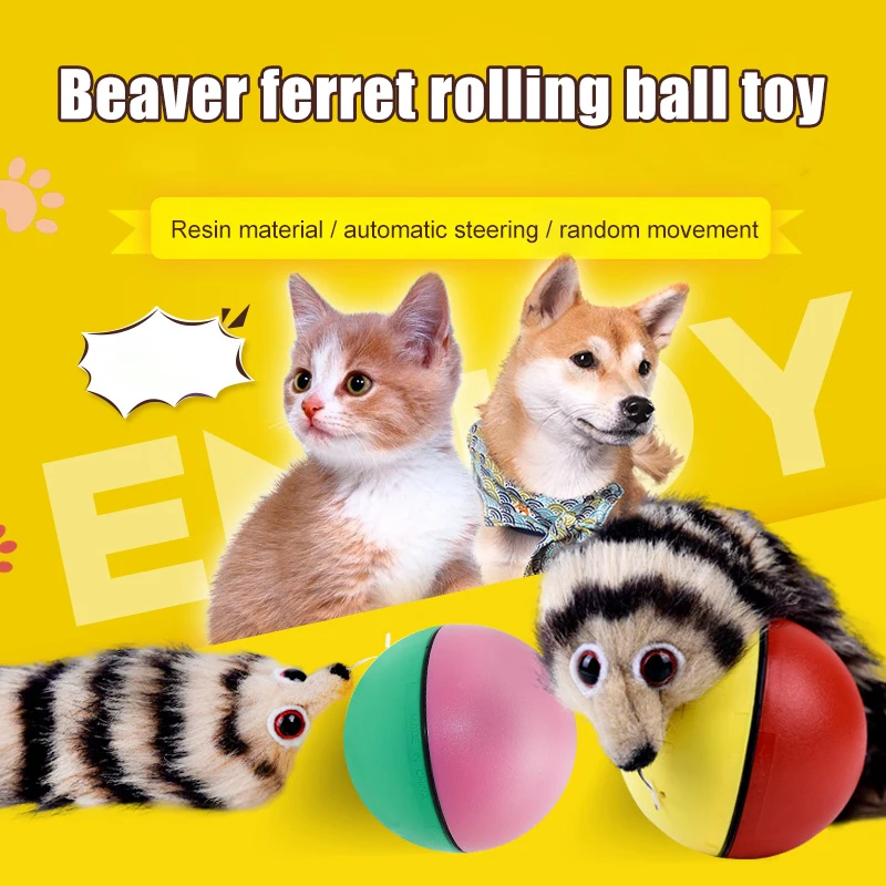 Weasel Ball Dog Toys Pet Cat Chew Toy Funny Motorized Ball Puppy Toys For  Chihuahua French Bulldog Puppy Accessories Beaver Ball - Dog Toys -  AliExpress