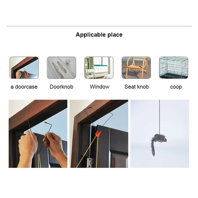 고양이롱: 당신의 고양이를 위한 최고의 선택, 종류별 비교분석과 구매 가이드