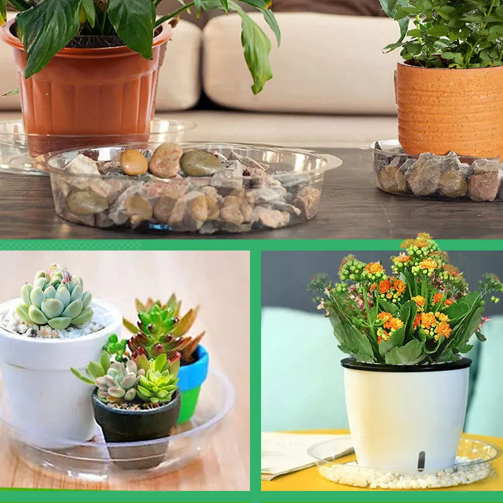 Description Picture 4 of item5PCS Round FlowerPot Tray for Indoor Plant Bonsai Drip Saucers Garden PP Plastic Transparency Planter Mat Reusable Pot Water Pan