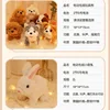Electric Robot Dog Rabbit Plush Puppy Children's Toy Simulation Husky Dog Will Bark and Make Sound Baby Boy Girl Gifts 3