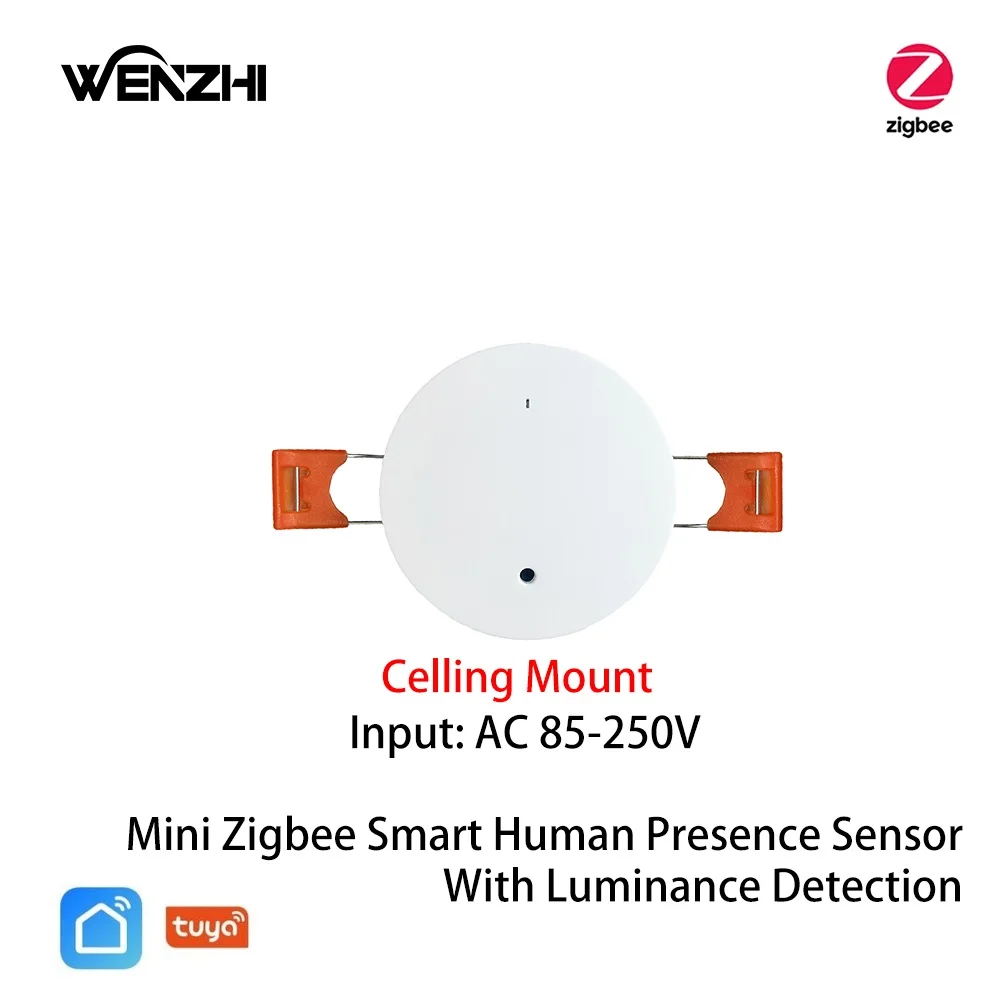Celling Mount ZigBee