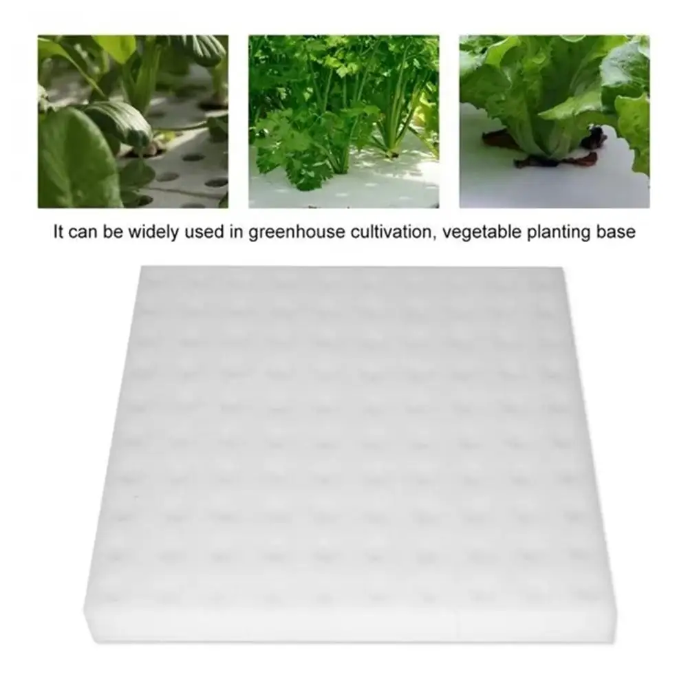 White Rooting Sponge Hydroponics Block Clonazione Collare Spugna Aeratore Anti-Alga Bubble Air Pot Net Stone Air Stone Aquaponic Q5L5