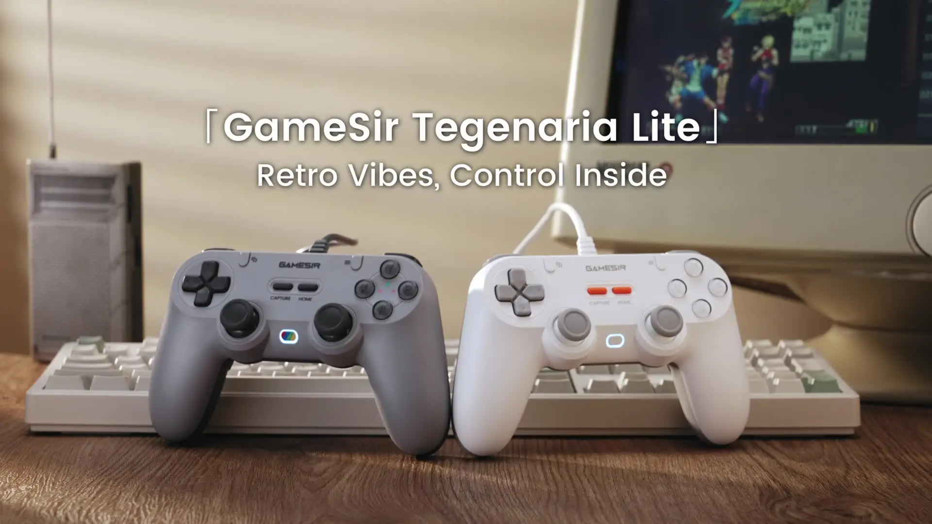 GameSir