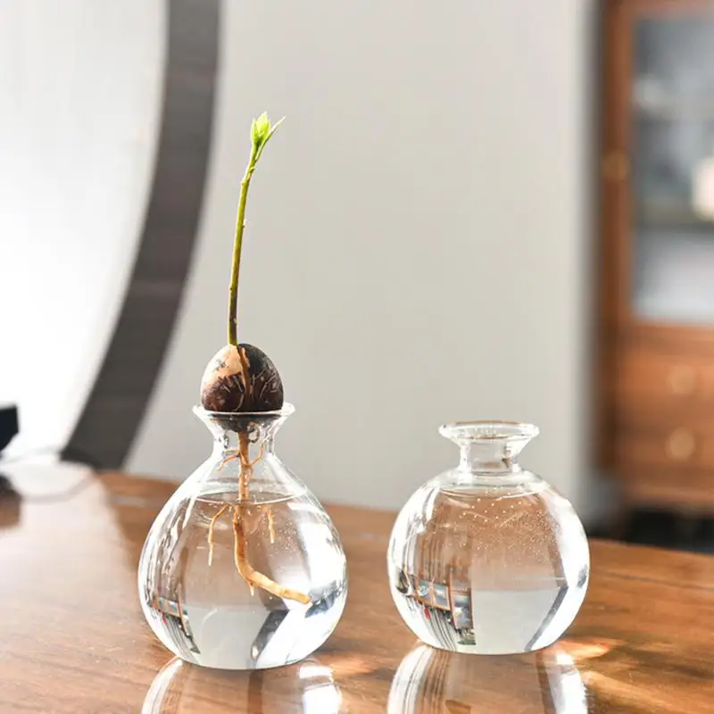 Avocado Seed Starters Vase Avocado Vase for Growing Avocado Seed Growing Kit Plant Glass with Stickers Gift for Gardening Lovers 3