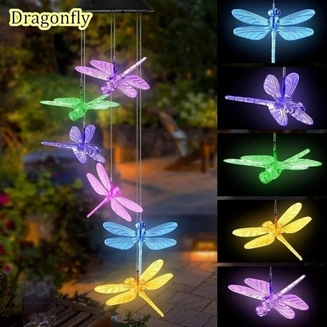 dragonfly