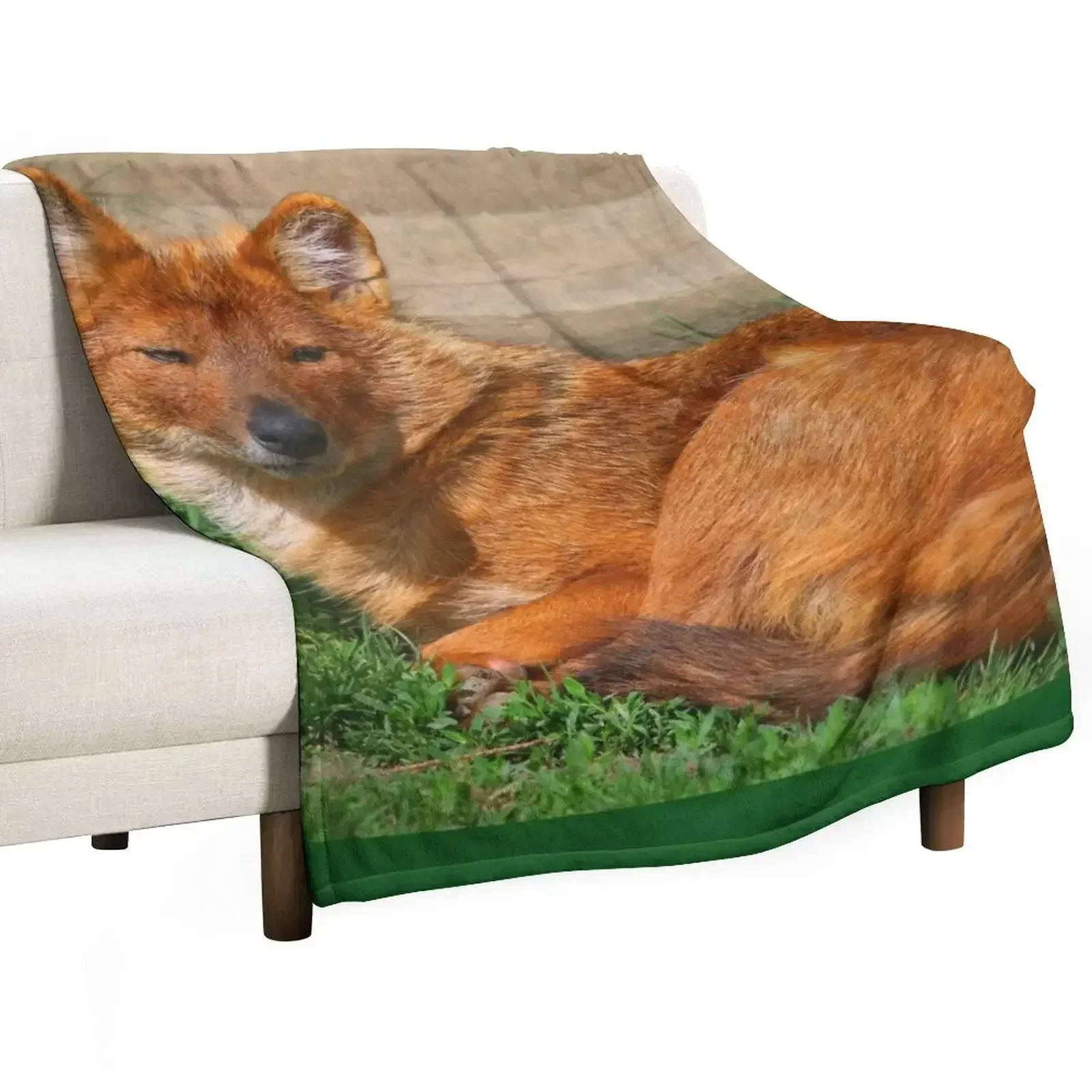 Dhole Daze Throw Blanket Blankets For Baby Shaggy Travel Blankets