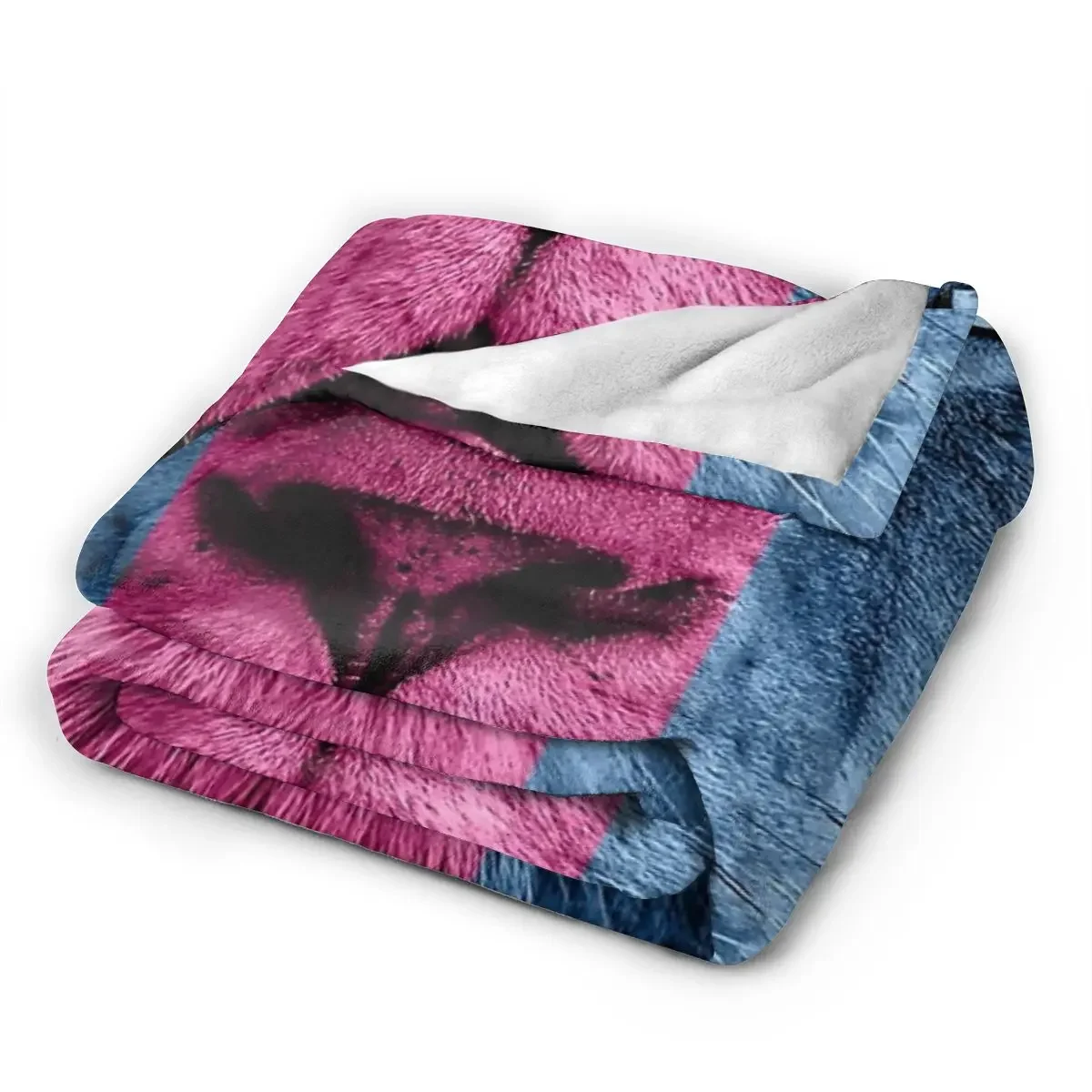 �ֽ��� ���� ���� ���, �ε巴�� ������ �ö��� ������ ��� ħ�뺸, ħ�� �Ž� ��ũ�� ���� Ȩ ����