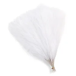 Decorative Pampas Grass Reed for Home, Garden, and Event Decor (White)