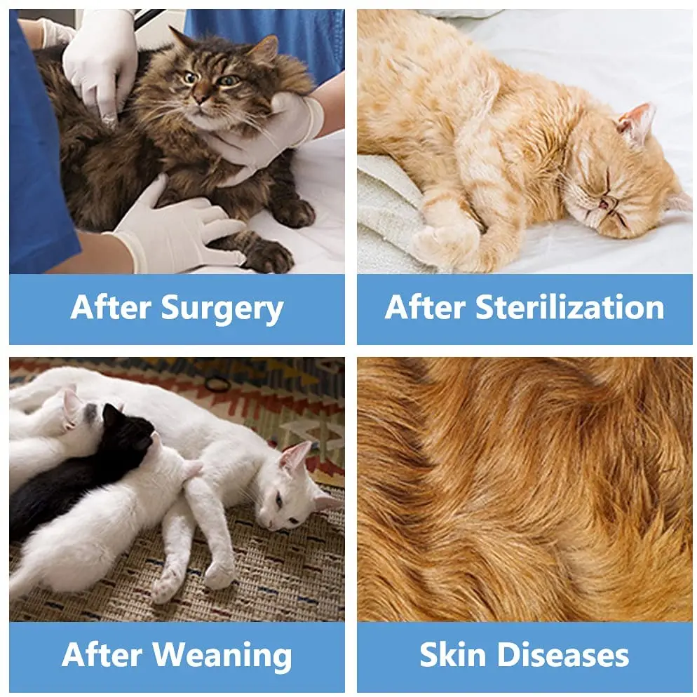 Sqinans Female Cat Surgery Suit Pet Cats Sterilization Clothes Weaning Clothing  Pet Postoperative Vest Anti-Off Anti-bite - Price history & Review, AliExpress Seller - Sqinanshome Store