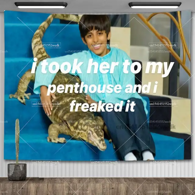 Je l'ai prise à mon penthouse et je l'ai Freaked Tapisserie, Ravi et Mr.s Kipling Meme Tapestry, Décor de chambre esthétique, Décors de fête 1