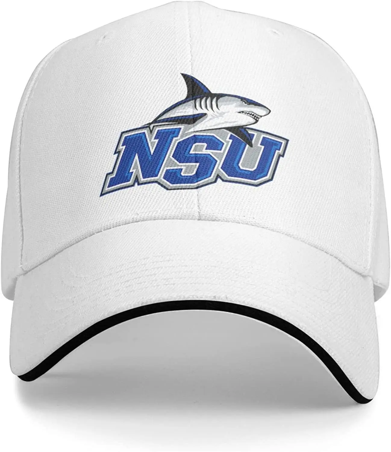 Рисунок 2 - Nova Southeastern