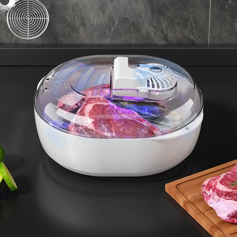 Portable Thawing Plate