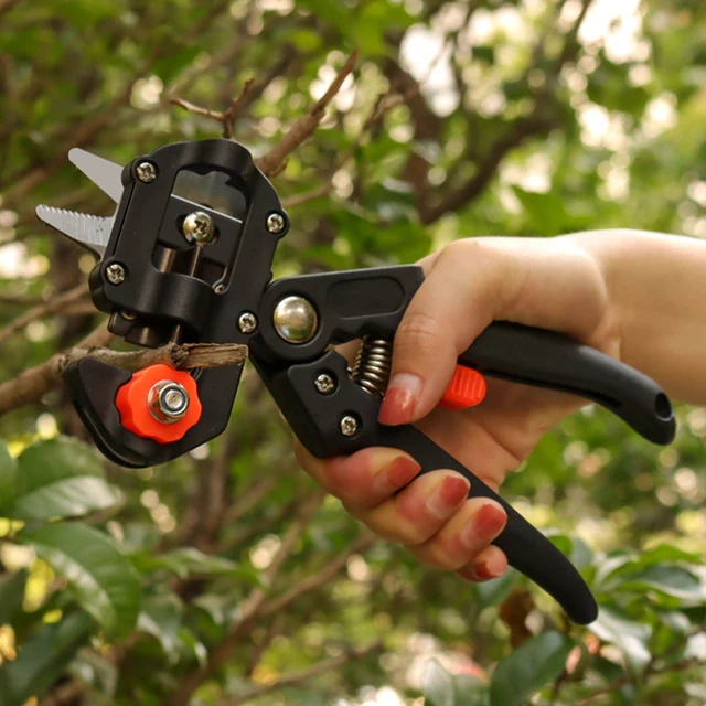 2/3/2004 Cm-Es Oltás Film Palánta Oltó Olló Gyümölcsös Gyümölcsfa Metsző Többfunkciós Rügyvágó Kerti Szerszám - Image 4