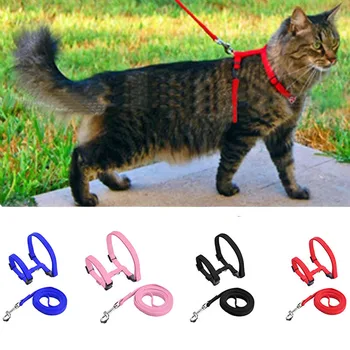 Adjustable Nylon Pet Cat Collar & Harness Set 1