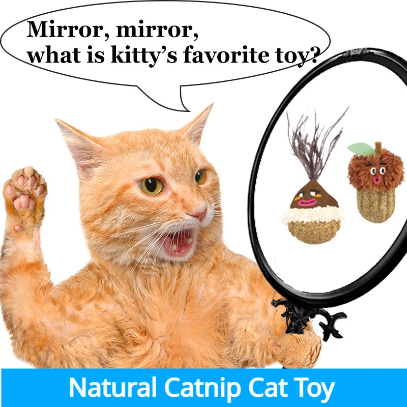 

Natural Ball Removal Cats Catnip Cat Toy Cat Grass Treats To Improve Digestion Wall Sticker Scratch Itchy Treat Healthy Supplies