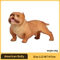 American Bully