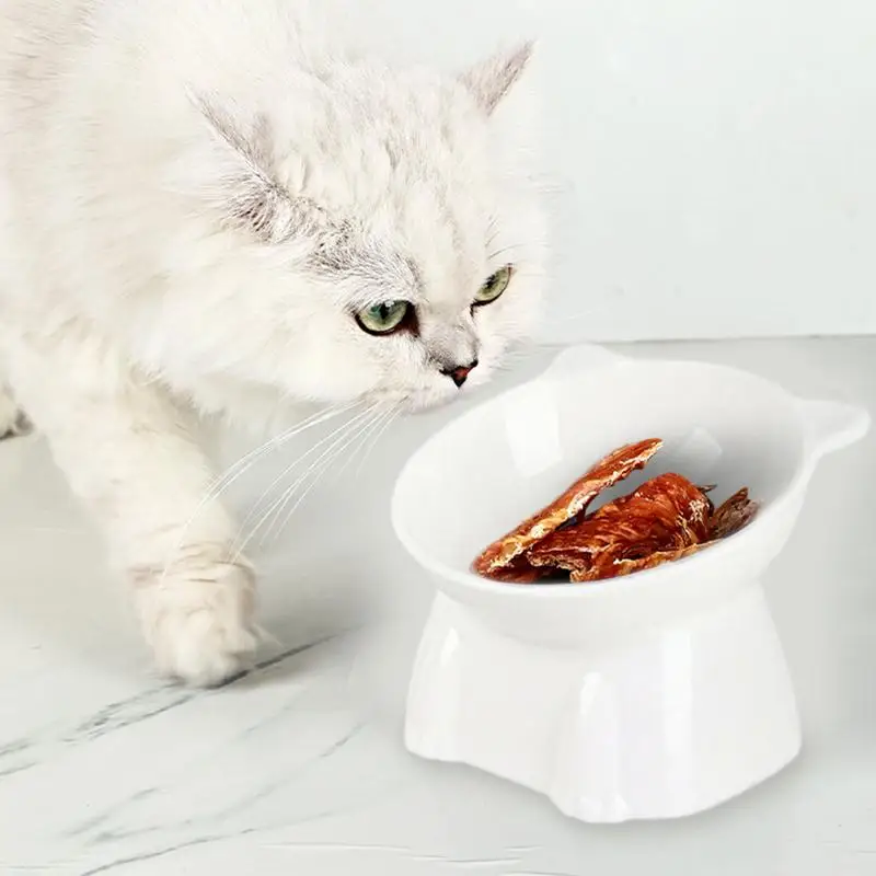 Elevated Tilted Cat Food and Water Bowl
