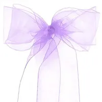 10pcs/lot Pink Organza Chair Sashes Wedding Chair Decoration Ribbons Ties Bow for Cover Banquet Wedding Party Event Mint Green 2