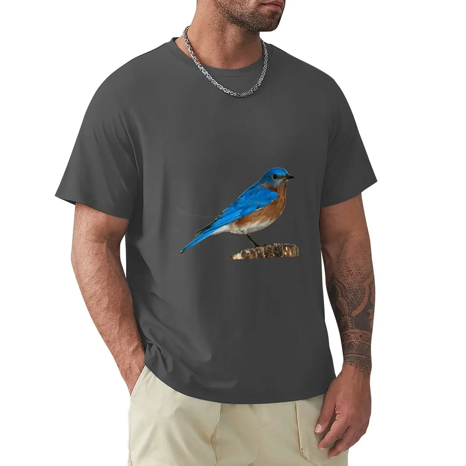 

Bluebird- Great Bluebird Apparel or Accessories for the Bluebird Lovers T-Shirt for a boy anime clothes mens vintage t shirts