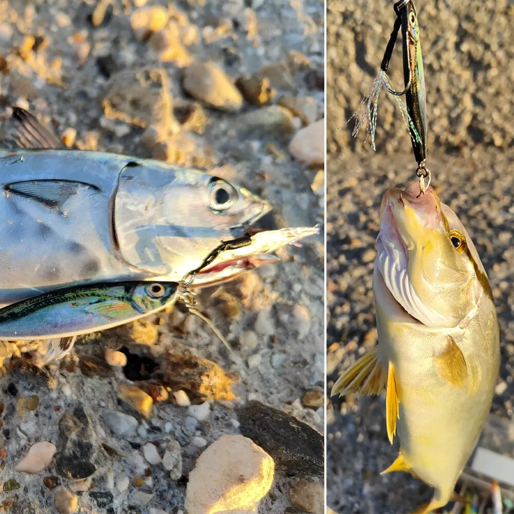 Metall jig Angel köder 20g Landguss haken Swimbait künstliche Köder-Laser abdeckung Pesca See Hecht Bass Zubehör Spinn gerät – Detail 8