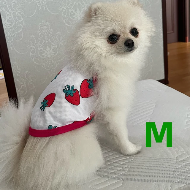 Ropa para perros pequeños de verano: Camisetas y Estilo Hawaii Emoape