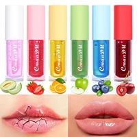 6 Color-Changing Lip Gloss  Fruity Scent Moisturizing and Long-Lasting Smooth Hydrating Temperature-Activated Lip tint 1