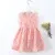 Summer Newborn Baby Clothes Infant Girl Clothes Korean Cute Print Sleeveless Cotton Beach DressPrincess Dresses 15