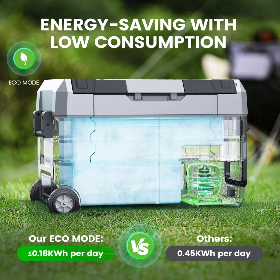 S56a2db5f54cf430db2bf7fd9ce5be