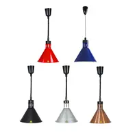 Hanging Retractable Heat Lamp E27 Bulb Not Included Food Heat Lamp for Buffet Fried Food Buffetfried Chicken Restaurant Hot Food 1